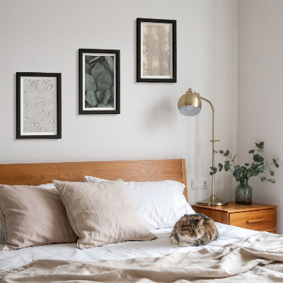 Posterpaket Sommartexturer närbild i ett tropiskt klimat