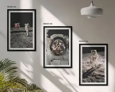 NASA:s månlandning på astronaut set om 3 tavlor
