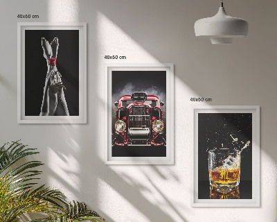 Tavelpaket med ramar Damben ros bil whisky