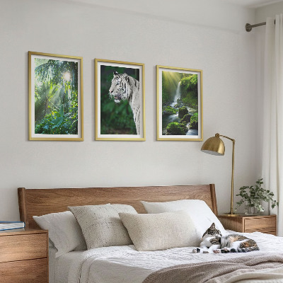 Set om 3 tavlor Djungeltigervattenfall