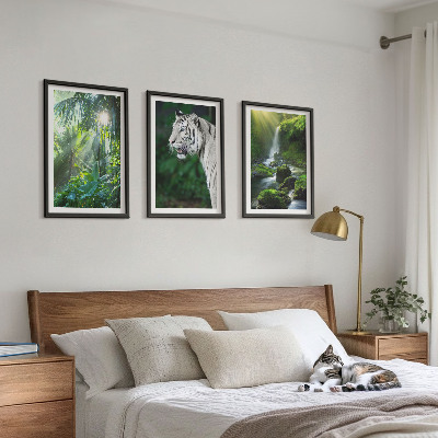 Set om 3 tavlor Djungeltigervattenfall