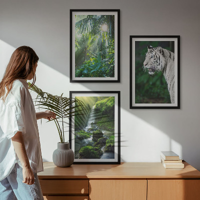 Set om 3 tavlor Djungeltigervattenfall