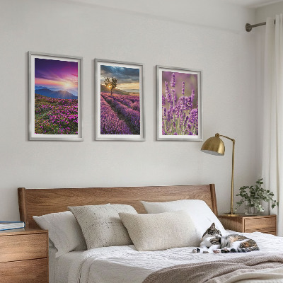 Tavelpaket med ramar Lavendelfält solnedgång