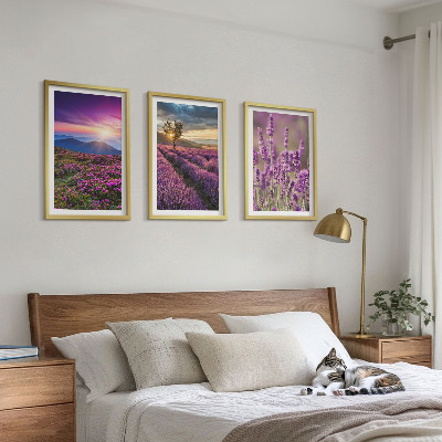 Tavelpaket med ramar Lavendelfält solnedgång
