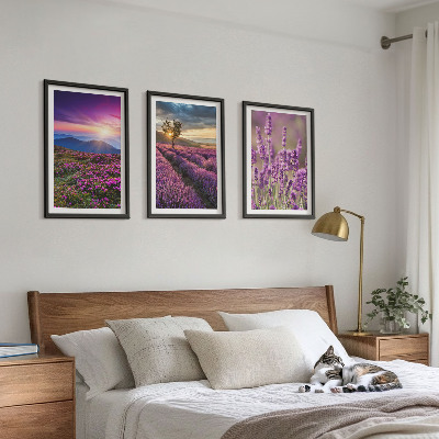 Tavelpaket med ramar Lavendelfält solnedgång