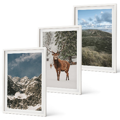Set om 3 tavlor Berg snö hjort skog landskap