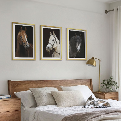 Tavelpaket med ramar Porträtt av hästar i pälsfärgade nyanser