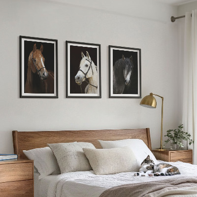 Tavelpaket med ramar Porträtt av hästar i pälsfärgade nyanser
