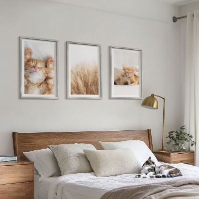 Tavelset ovanför soffa Söta djur katter hundar boho