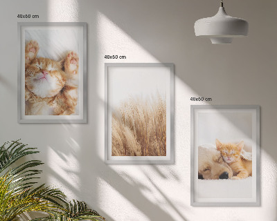 Tavelset ovanför soffa Söta djur katter hundar boho