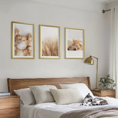 Tavelset för vägg ovanför soffa med motiv av söta katter och hundar i boho-stil