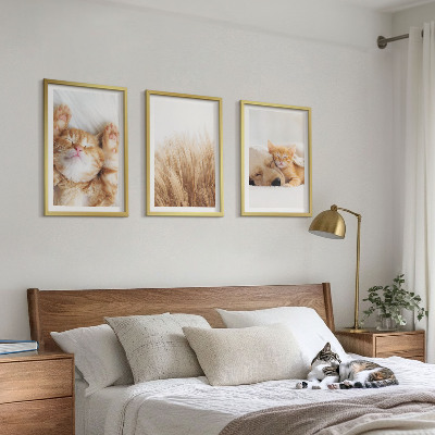 Tavelset ovanför soffa Söta djur katter hundar boho