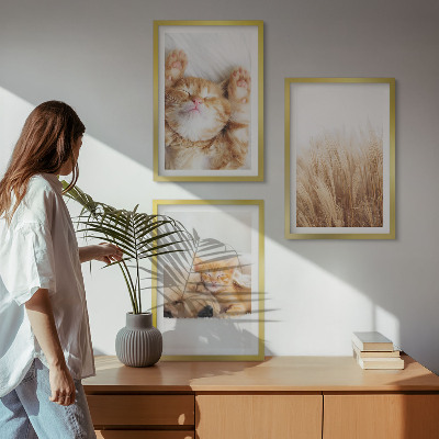 Tavelset ovanför soffa Söta djur katter hundar boho