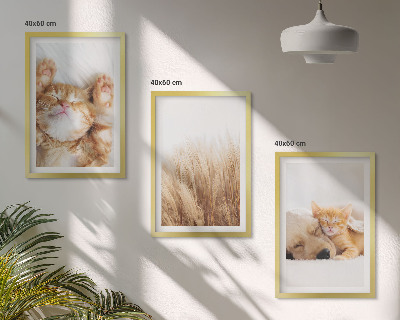 Tavelset ovanför soffa Söta djur katter hundar boho