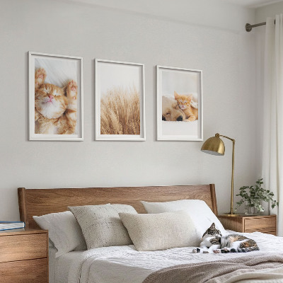 Tavelset ovanför soffa Söta djur katter hundar boho