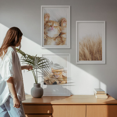 Tavelset ovanför soffa Söta djur katter hundar boho