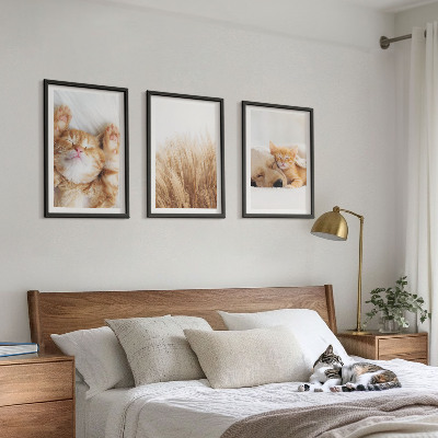 Tavelset ovanför soffa Söta djur katter hundar boho