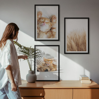Tavelset ovanför soffa Söta djur katter hundar boho