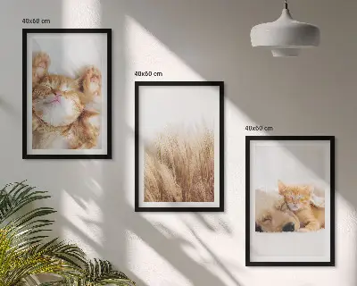 Tavelset för vägg ovanför soffa med motiv av söta katter och hundar i boho-stil