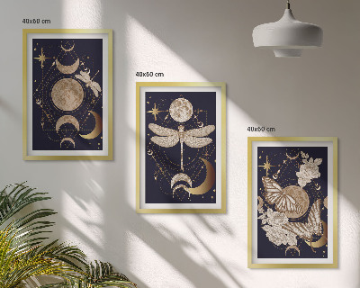 Tavelpaket med ramar Naturmotiv månblommor