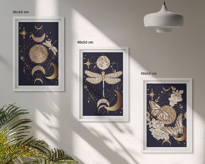 Tavelpaket med ramar Naturmotiv månblommor