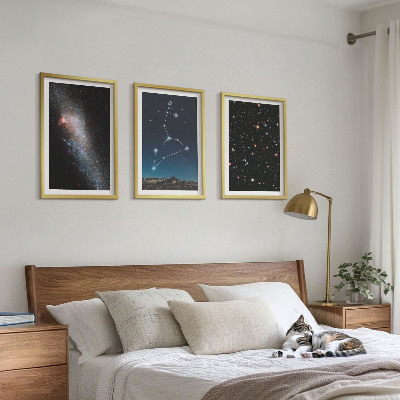 Set om 3 tavlor Lejonets stjärnbild galax