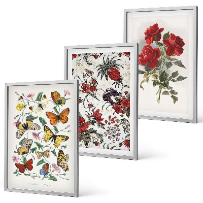 Set om 3 tavlor Fjärilar blommor röda rosor