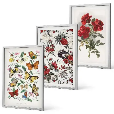 Tavelset med 3 delar fjärilar och röda blommor