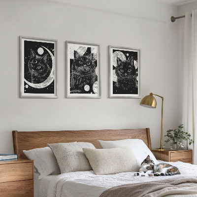 Tavelpaket med ramar Svarta katter månen rymden