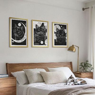 Tavelpaket med ramar Svarta katter månen rymden