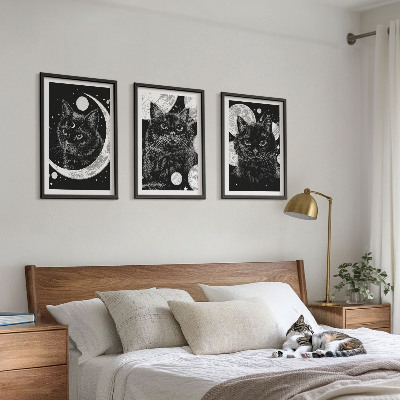 Tavelpaket med ramar Svarta katter månen rymden