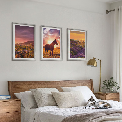 Tavelpaket med ramar Berglandskap med en häst