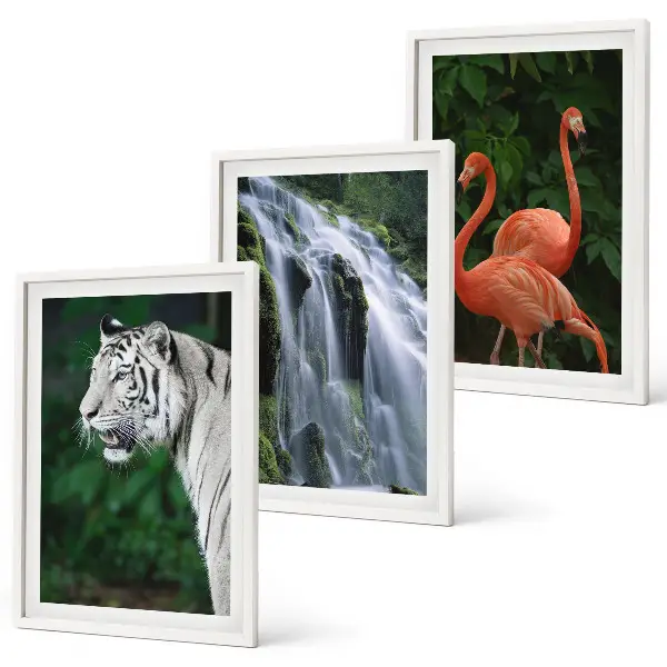 Tavelvägg med ramar med motiv av tiger, vattenfall och flamingos i naturen