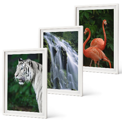 Tavelpaket med ramar Tiger vattenfall flamingos natur