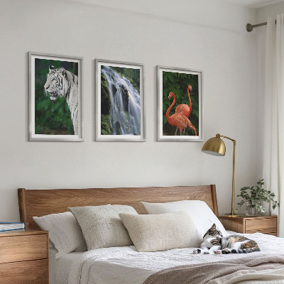 Tavelpaket med ramar Tiger vattenfall flamingos natur