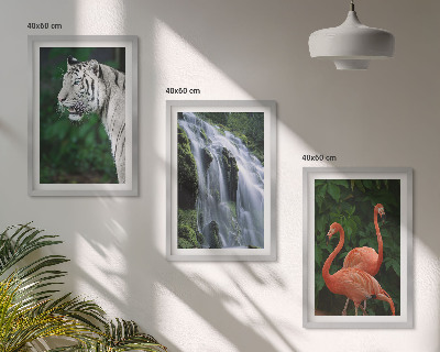 Tavelpaket med ramar Tiger vattenfall flamingos natur