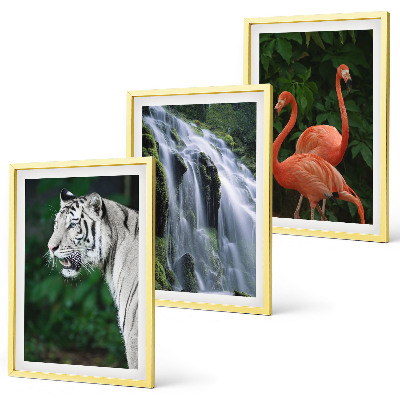 Tavelpaket med ramar Tiger vattenfall flamingos natur