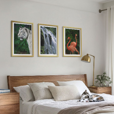 Tavelpaket med ramar Tiger vattenfall flamingos natur