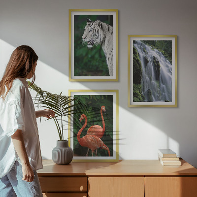 Tavelpaket med ramar Tiger vattenfall flamingos natur