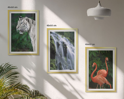 Tavelpaket med ramar Tiger vattenfall flamingos natur