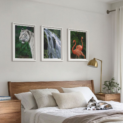 Tavelpaket med ramar Tiger vattenfall flamingos natur