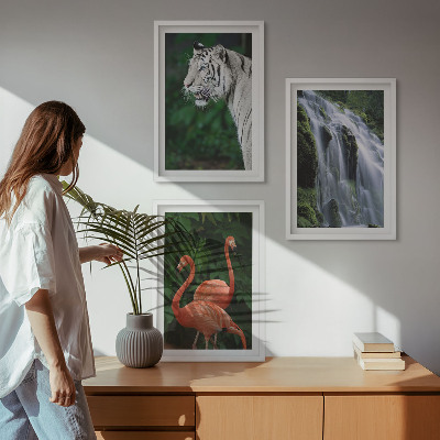 Tavelpaket med ramar Tiger vattenfall flamingos natur