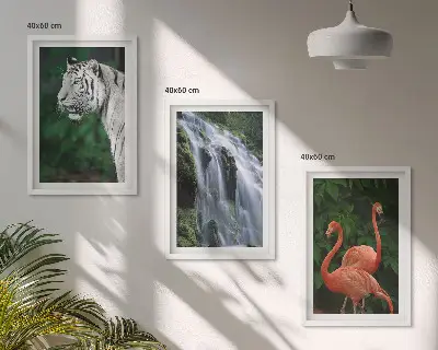 Tavelvägg med ramar med motiv av tiger, vattenfall och flamingos i naturen