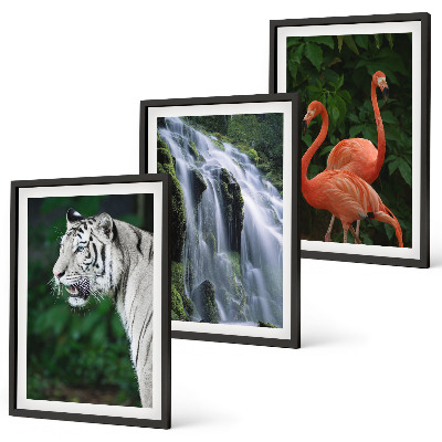 Tavelpaket med ramar Tiger vattenfall flamingos natur