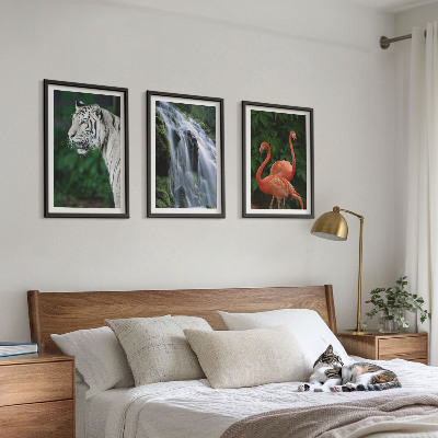Tavelpaket med ramar Tiger vattenfall flamingos natur