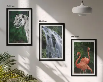Tavelvägg med ramar med motiv av tiger, vattenfall och flamingos i naturen