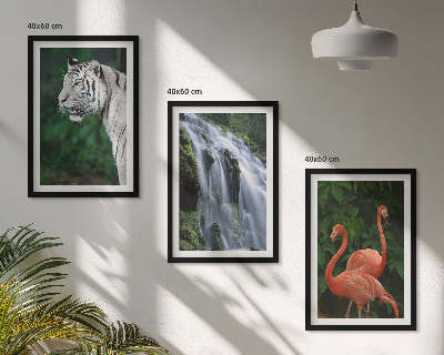 Tavelpaket med ramar Tiger vattenfall flamingos natur