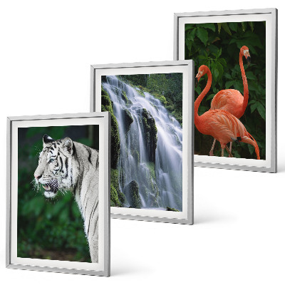 Tavelpaket med ramar Tiger vattenfall flamingos natur