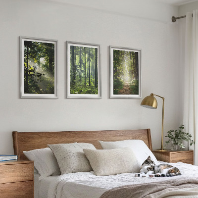 Tavelset ovanför soffa Gröna skogar med ljusstrålar