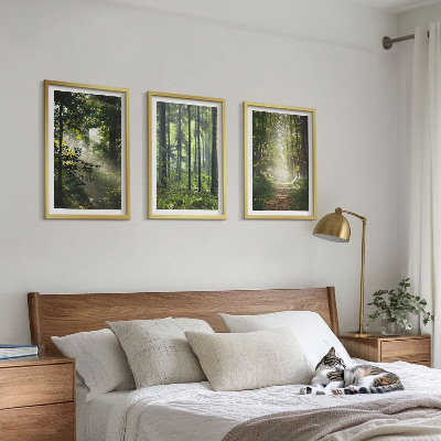 Tavelset ovanför soffa Gröna skogar med ljusstrålar